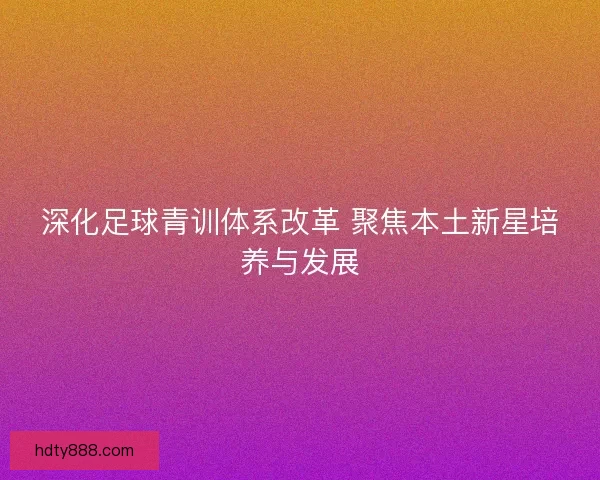 深化足球青训体系改革 聚焦本土新星培养与发展
