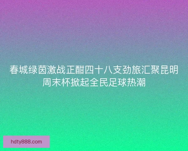 春城绿茵激战正酣四十八支劲旅汇聚昆明周末杯掀起全民足球热潮