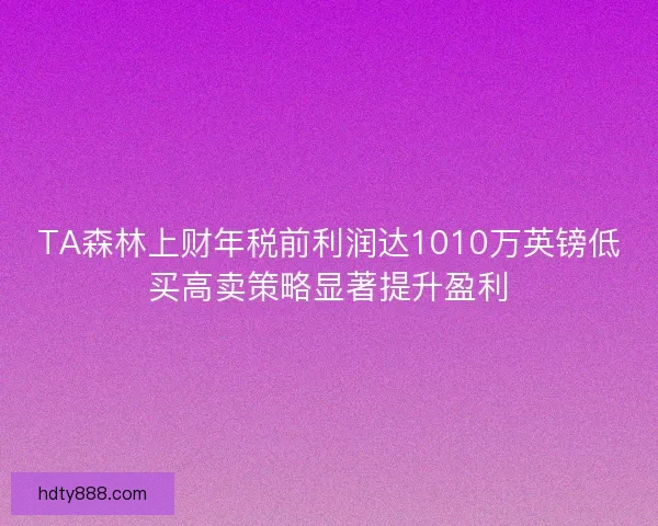 TA森林上财年税前利润达1010万英镑低买高卖策略显著提升盈利
