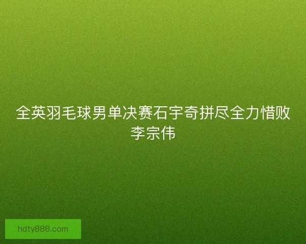 全英羽毛球男单决赛石宇奇拼尽全力惜败李宗伟